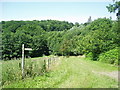 TQ3827 : Sussex Border Path at Dane Hill Brook by Nigel Freeman