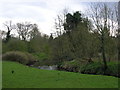 SO8480 : River Stour at Cookley by Tavis Pitt