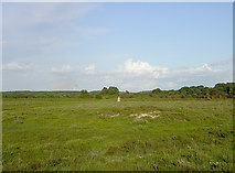 SU3606 : Trig point and tumulus on Yew Tree Heath, New Forest by Jim Champion