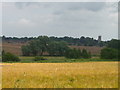 View across Run Dyke to Blofield