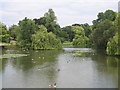 SP3265 : River Leam and the Jephson Gardens, Royal Leamington Spa by David Stowell