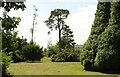 Ornamental Parkland, Buxted Park Estate, Buxted, East Sussex