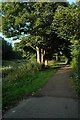 Walk by the stream, Woolston