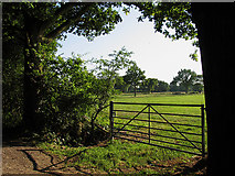 SU5961 : Farmland at Baughurst/Tadley by Pam Brophy