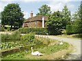 Home Farm in Slugwash Lane