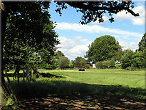 SU5061 : Farmland near Brocks Green by Pam Brophy