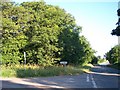 Brand Oak Coppice