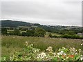 Farmland at Waen