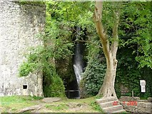 SJ0579 : Dyserth Waterfalls by Dot Potter