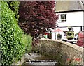 Tearooms at Dyserth waterfalls