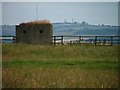 WW2 Pill box, West Hamsteels