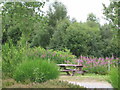 Picnic area at Garlogie