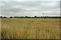 View over farm land