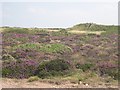 Airfield Heathland