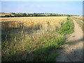 Bury to Clare walk at Thurston