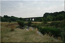 SJ5694 : Sankey Viaduct by andy