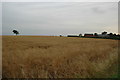 View across farm land near Croft