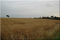SJ6294 : View across farm land near Croft by andy