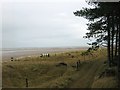 NO4928 : Tentsmuir Point by Rob Burke