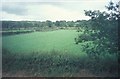 Fields near Rhydlewis