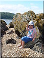 NX8354 : Cockle Shell Beach, near Kippford, Dumfries & Galloway by Elizabeth Veitch