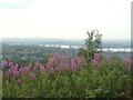 View from Castle - River Mersey