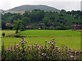 Farmland near Little Stretton