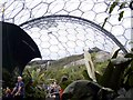 Eden Project