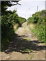 Green lane from Callestock Veor to Pendown