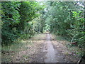 Public Bridleway to Thickthorn Wood and Ashow