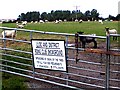 Field used by Lloc & District  Riding Club, and sheep