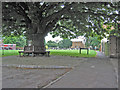 Hose Village Green, Leicestershire