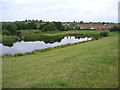 Overflow pond in Melton Country Park