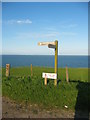 Looking towards Souter Head