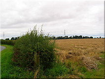 TA1336 : Farmland near Swine by Stephen Horncastle