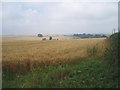 Looking west over farmland