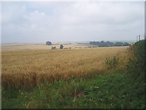 ST7300 : Looking west over farmland by Nigel Freeman