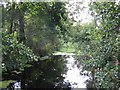 River Colne at Colney Heath