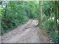 Timbercombe Bridleway