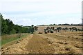 Suffolk farmland