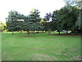 Picnic Area, Horton Country Park