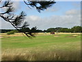 Golf Links, Freshfield, Formby, Merseyside