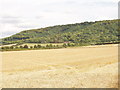 Wain Hill from Chinnor