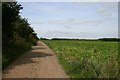 Track leading to Twenty Acre Hill