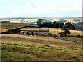 SE1444 : Carr Bottom Farm, near Burley Woodhead by David Spencer