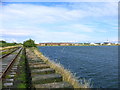 SD2068 : Cavendish Dock, Barrow from railway sidings by David Jackson