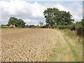 Abbey Park Farm across a cornfield, by Littleworth Common