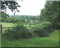 Horses and fields off Pound Lane