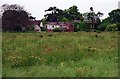 Wildflower Meadow, North Thoresby