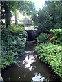 Kelsey Park, Beckenham - weir at north end of lake